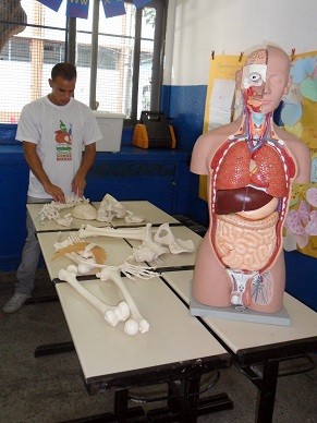 Atividade desenvolvida pelo ICB Sobre Rodas onde alunos aprendem sobre os ossos e os órgãos do corpo humano (Foto: Divulgação/ ICB-UFRJ)