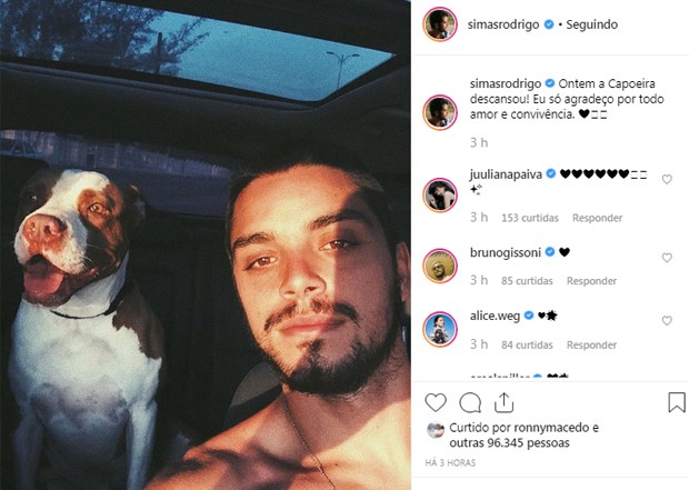 Rodrigo Simas e a pitbull Capoeira (Foto: Reprodução/Instagram) Rodrigo Simas e a pitbull Capoeira (Foto: Reprodução/Instagram)