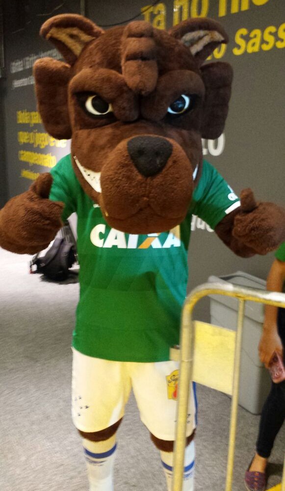 Mascote do Cruzeiro também homenageou a Chapecoense (Foto: Marco Antônio Astoni)
