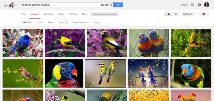 Pesquisa por papel de parede no Google Imagens (Foto: Reprodução/Raquel Freire)
