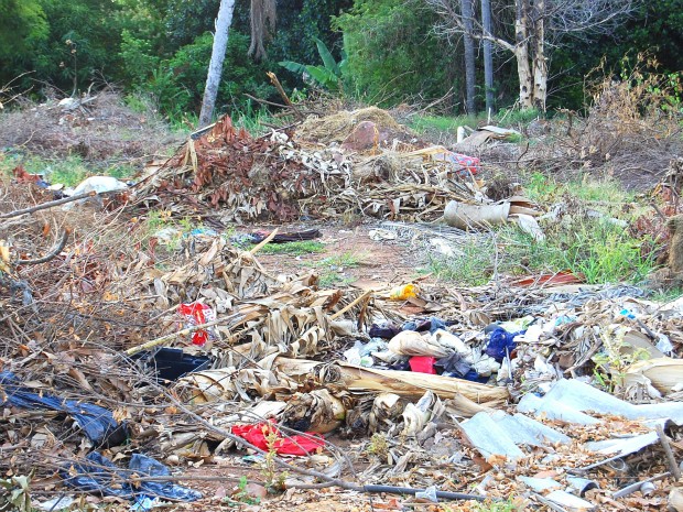 Terreno abandonado com acúmulo de lixo em Aquidauana (Foto: Thays Baes/VC no G1)