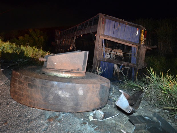 Caminhão com botijões de gás colidiu com carro de bois na BR-230 (Foto: Walter Paparazzo/G1)