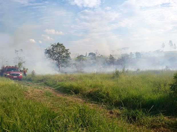 Corpo de Bombeiros foi acionado por volta das 13h30 desta sexta-feira (24) (Foto: Stephanie Fonseca/G1)