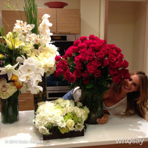 Sofia Vergara exibe flores que ganhou de aniversário (Foto: Instagram/ Reprodução)