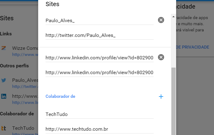 Preencha com links de seus sites e redes sociais (Foto: Reprodução/Paulo Alves)
