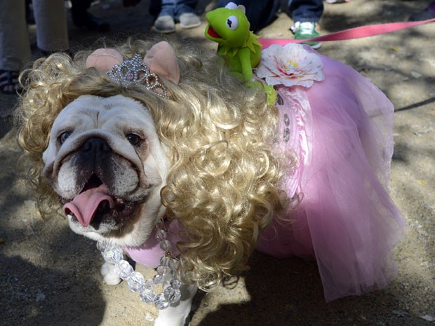 Desfile teve pet vestido como os personagens Miss Pig e Caco (Foto: AFP)