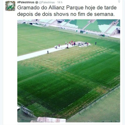 Gramado Arena Palmeiras (Foto: Reprodução / Twitter)