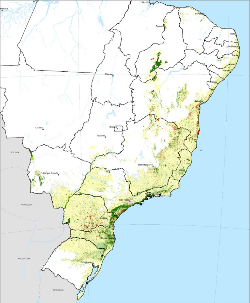 Mapa mostra, em verde escuro, as áreas remanescentes da Mata Atlântica (Foto: Inpe/SOS Mata Atlântica)