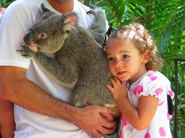 Crianças tiram foto abraçada com coala no parque de Hamilton Island (Foto: Flávia Mantovani/G1)
