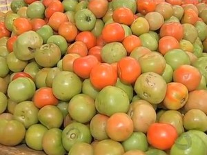 Alta no preço do tomate alavancou o aumento do custo da cesta básica em Campo Grande, MS (Foto: Reprodução/TV Morena)