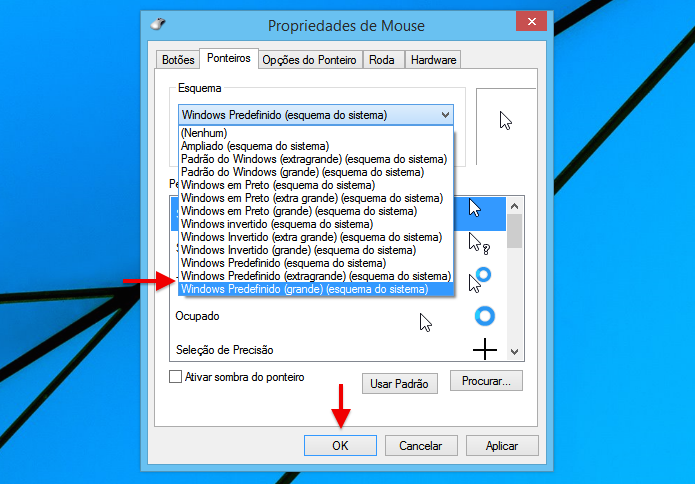 Alterando esquema do cursor do mouse (Foto: Reprodução/Helito Bijora)