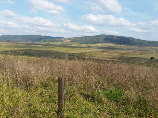 Área de 3,6 mil hectares é alvo de disputa entre MST e proprietários há 14 anos em Campo do Meio (Foto: Régis Melo / G1) Área de 3,6 mil hectares é alvo de disputa entre MST e proprietários há 14 anos em Campo do Meio (Foto: Régis Melo / G1)