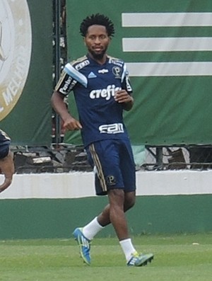 Zé Roberto treina em campo e pode voltar ao Palmeiras contra o Inter