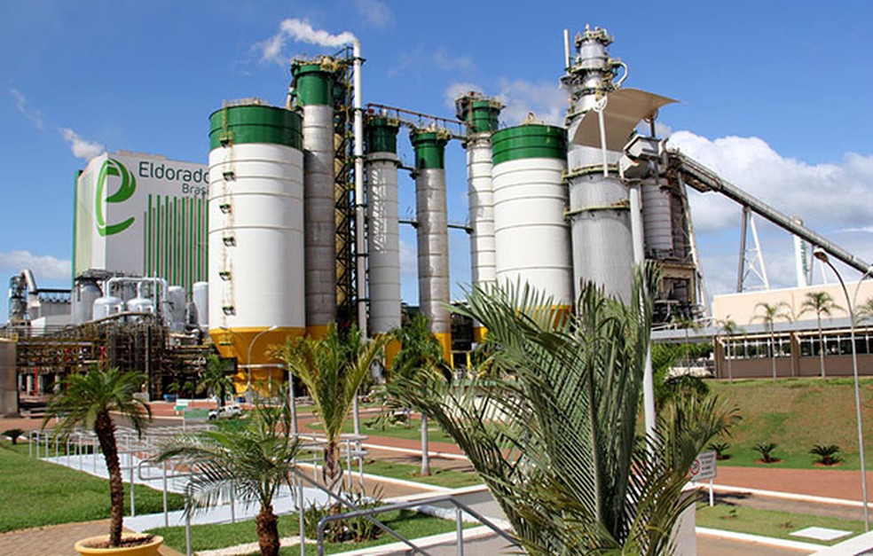 Fibria teve a maior queda do Ibovespa após reportar prejuízo no último trimestre (Foto: Chico Ribeiro-Subcom)