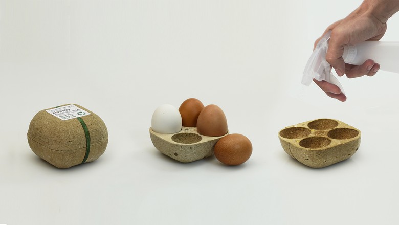 mbalagem reciclável de ovo que vira adubo (Foto: Reprodução/ George Bosnas)