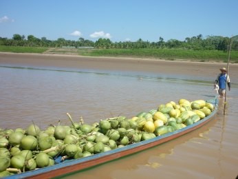 Carga de coco e melão caipira sendo levada para barco (Foto: José Melo/Divulgação)