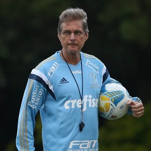 Com quatro titulares pendurados, Verdão tem chance de zerar cartões