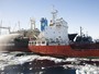 Japão culpa ONGs por baixa captura de baleias na Antártica desde 1987