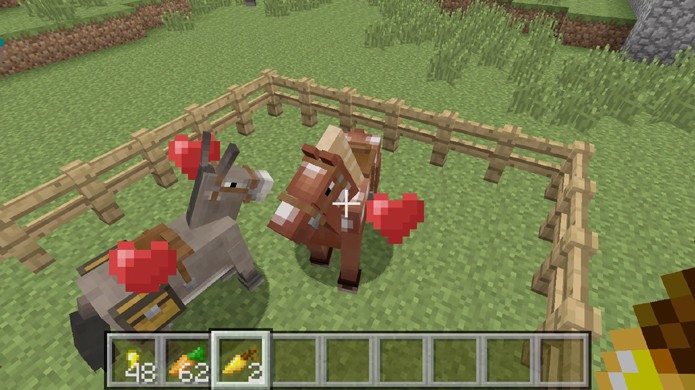 Alimente o cavalo e o burro com a maçã ou cenoura dourada para colocá-los em modo de reprodução em Minecraft (Foto: Reprodução/Rafael Monteiro)