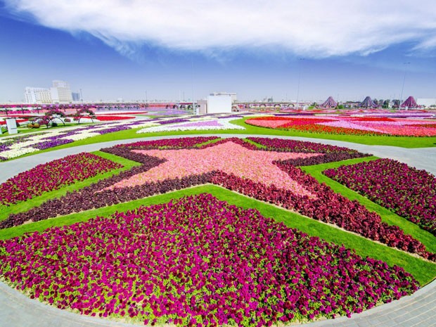 Canteiro em formato de estrela no Miracle Garden, em Dubai (Foto: Divulgação/Miracle Graden)