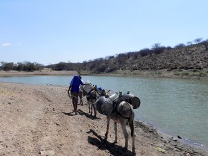 Moradores precisam andar quilômetros para buscar o pouco de água que ainda resta em alguns açudes (Foto: Taiguara Rangel/G1)