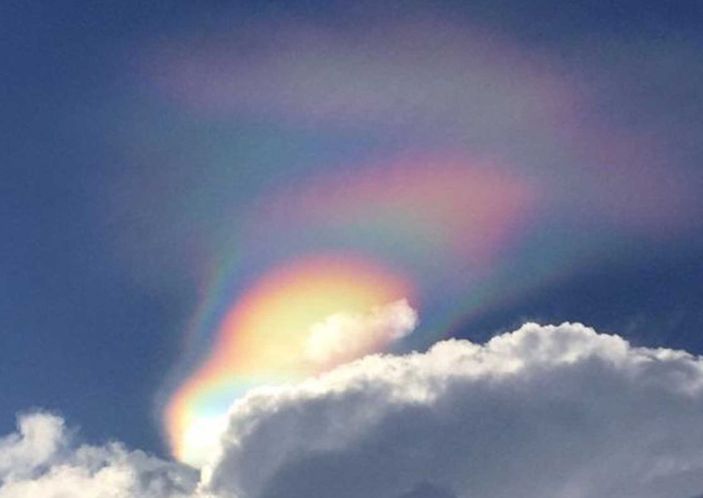 Fotos foram divulgadas em redes sociais (Foto: Zhou Guang Ping / BBC)