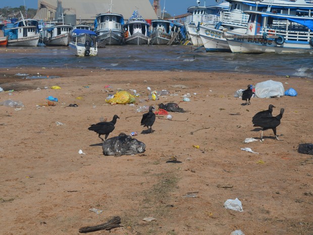 Substâncias contidas em lixos jogados por donos e usuários de embarcações assim como o esgoto despejado no Rio Tapajós contribuem para o crescimento das algas (Foto: Glebson Viana/G1)