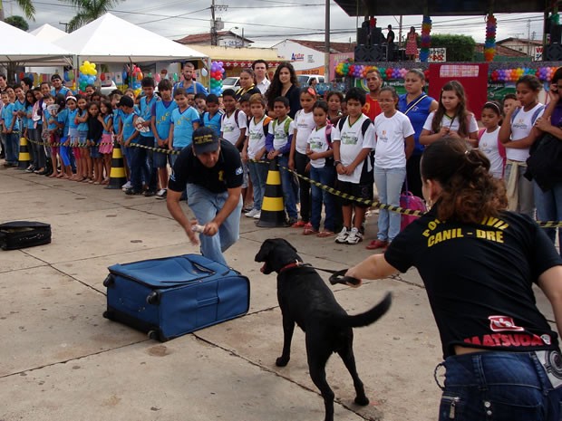 Alunos viram os cães procurando drogas escondidas  (Foto: Divulgação / Assessoria)