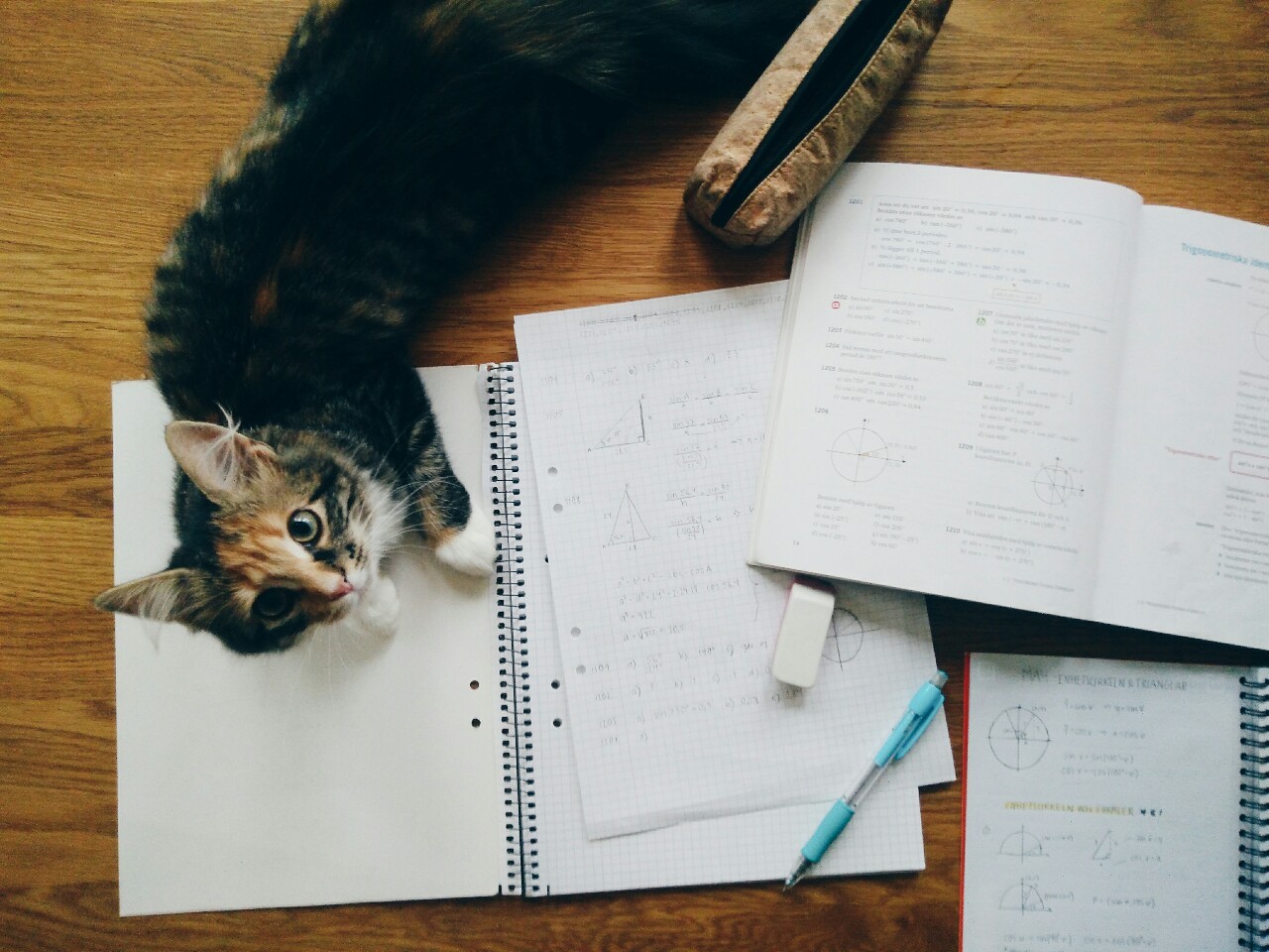 cadernos, livros, caneta, borracha e estojos espalhados e um gato deitado em cima de um dos cadernos