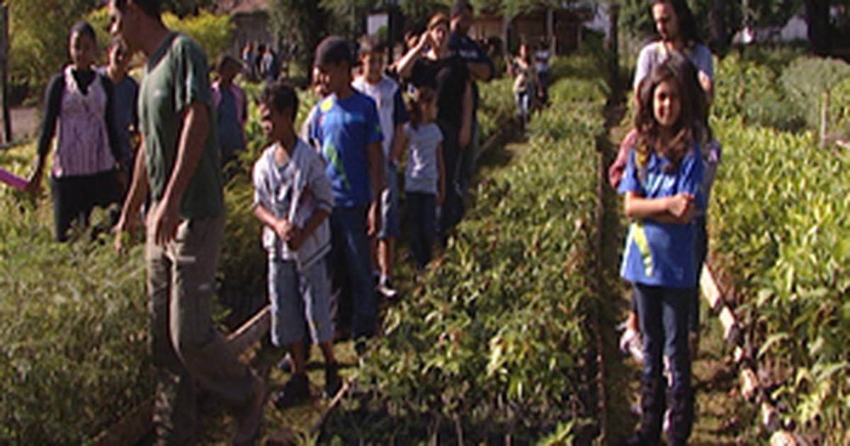 G1 Alunos visitam viveiro do Instituto Estadual de Florestas em Arcos, MG notícias em G1 Alunos visitam viveiro do Instituto Estadual de Florestas em Arcos, MG notícias em
