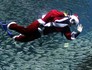 Aquário da Coreia do Sul tem Papai Noel (Lee Jin-man/AP)