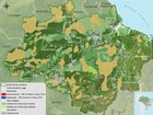 Desmatamento da Amazônia Legal aumenta 190% em MT, diz Imazon