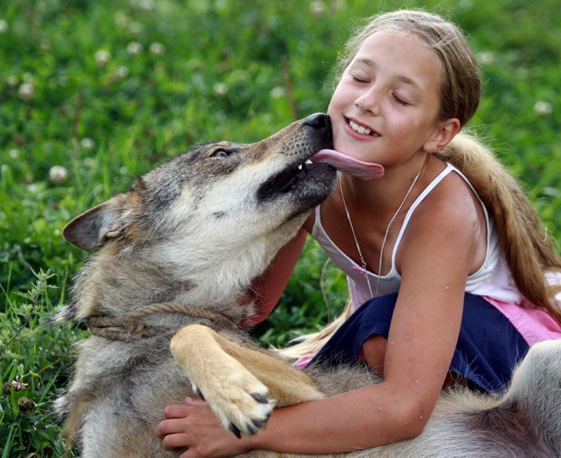 Alisa Selekh brinca com lobo de estimação (Foto: Sergei Gapon/AFP)