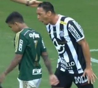 Palmeiras x Santos Dudu Ricardo Oliveira (Foto: Reprodução/TV Globo)