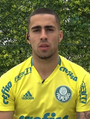 Nos próximos jogos do Brasileirão Gabriel projeta vitórias do Palmeiras