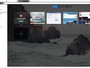 Novo navegador Vivaldi pretende atingir usuários experientes