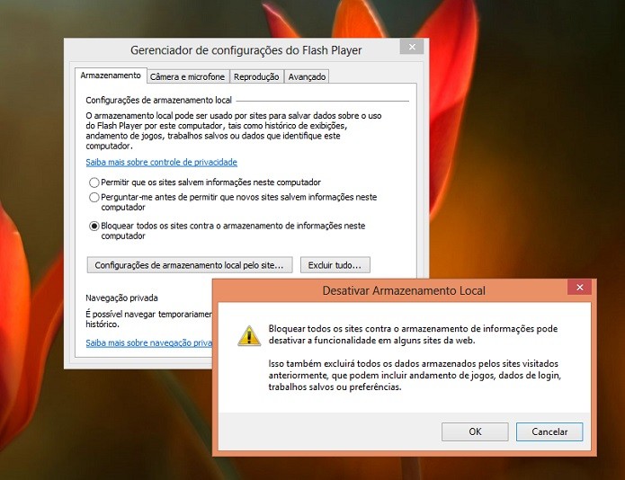Escolha a opção que considerar a melhor (Reprodução/Taysa Coelho)