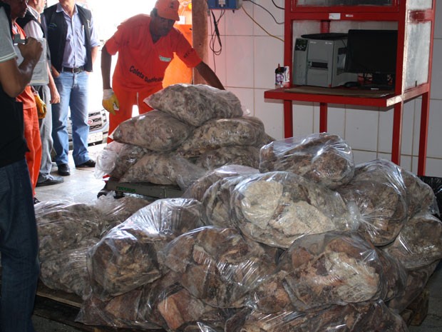 Fiscais encontraram carne sem registro e estragada (Foto: Divulgação/ Adagro)
