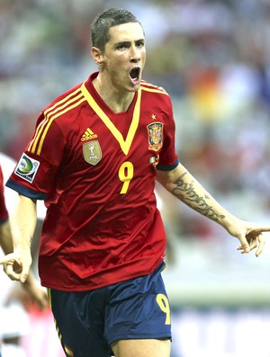 Fernando Torres comemora gol da Espanha contra a Nigéria (Foto: Agência EFE)