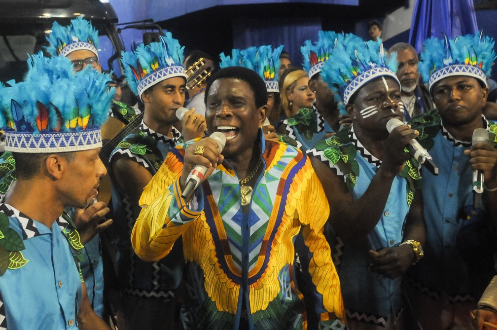 Neguinho da Beija-Flor interpreta o samba da escola (Foto: Alexandre Durão / G1)