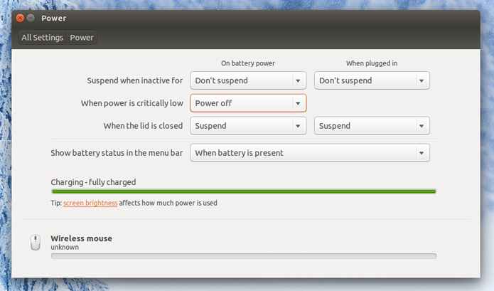 Ubuntu permite que você aplique configurações de energia similares às do Windows (Foto: Reprodução/Filipe Garrett)