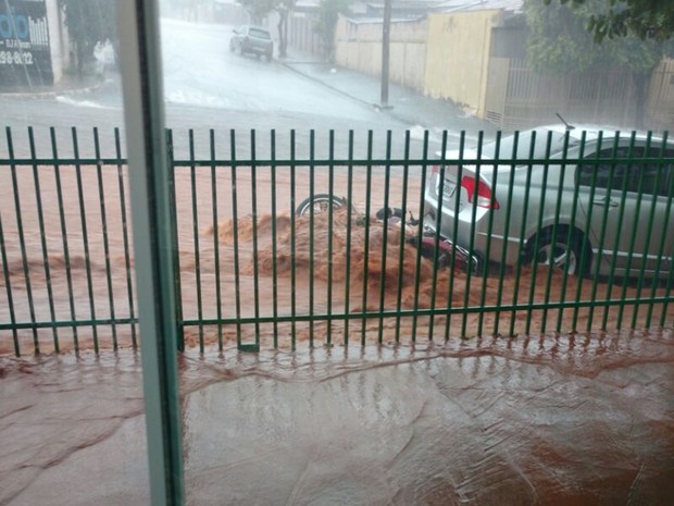 G1 - Chuva Forte Alaga Avenida E Derruba árvores No Centro De Tanabi ...