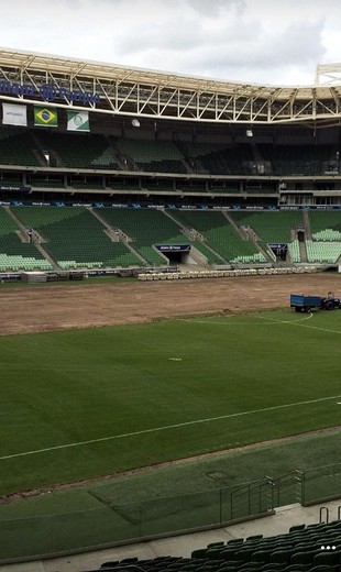 Gramado arena do Palmeiras (Foto: Divulgação)
