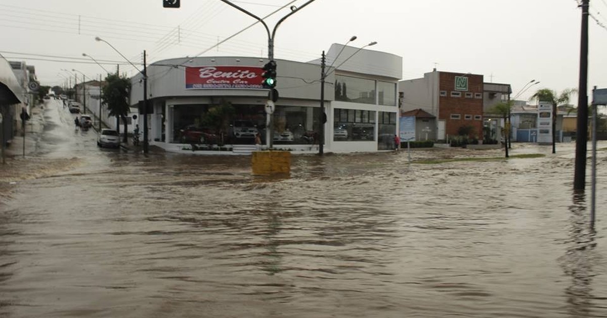 G1 Chuva forte provoca alagamentos e derruba árvores em Rio Claro SP