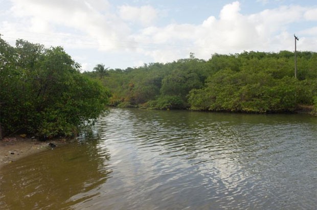 Rio Pratagy, em Maceió (AL) foi considerado regular pela análise feita pela ONG SOS Mata Atlântica (Foto: Divulgação/SOS Mata Atlântica)