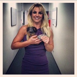 Britney Spears com sua cachorrinha de estimação (Foto: Instagram/ Reprodução)