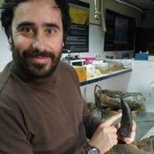 Cidade portuguesa é 'terra dos dinossauros' (BBC)