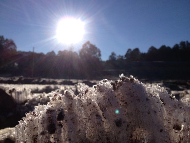 Em Pato Branco, no sudoeste, gelo transformou a paisagem  (Foto: Adriana Ludovichak / RPC)