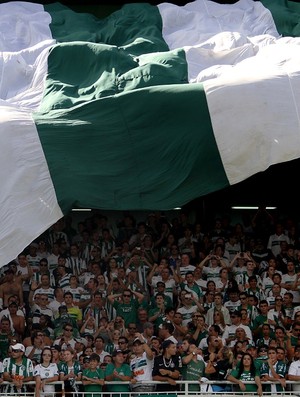Torcida do Coritiba no Estádio Couto Pereira, no Atletiba, pelo Campeonato Paranaense (Foto: Site oficial do Coritiba/Divulgação)