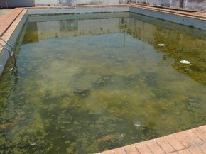 Piscinas Abandonadas Sao Focos De Dengue Dizem Internautas Em Ms Vc No G1 Ms G1